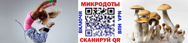 Галлюциногенные грибы мухоморы  Чита 
